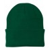 Athletic Green Port & Company® - Knit Cap